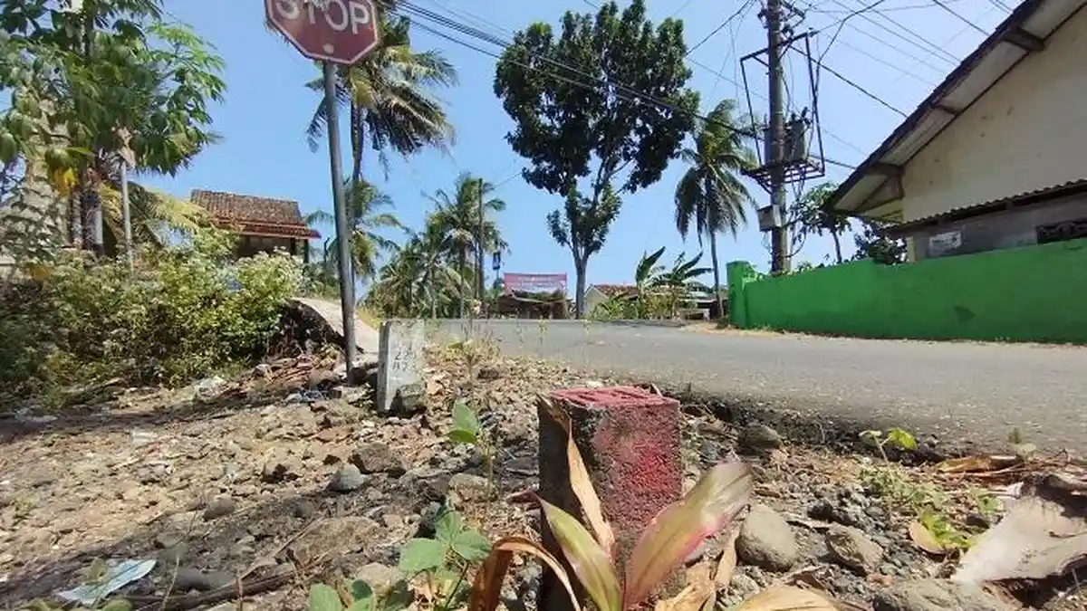 Proyek JJLS di Kulon Progo Dipastikan Berlanjut, Proses Pengadaan Tanah Dimulai 2026 Ini