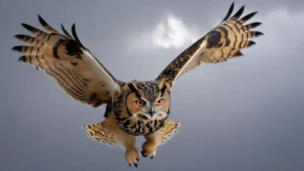 Manfaat Burung Hantu Bagi Petani dan Lingkungan, Bisa Tekan Biaya Produksi