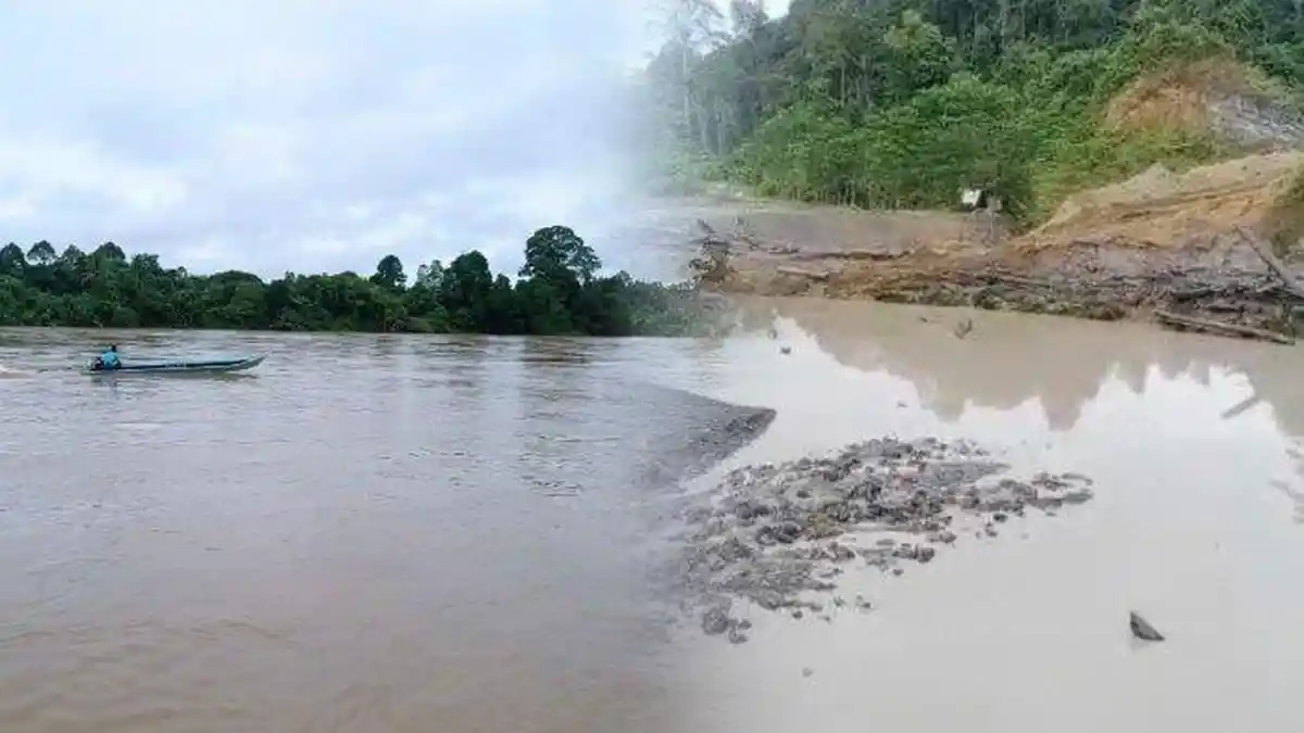 Tanggul Limbah Batu Bara di Kaltara Jebol, DPR Minta Izin Perusahaan Dicabut