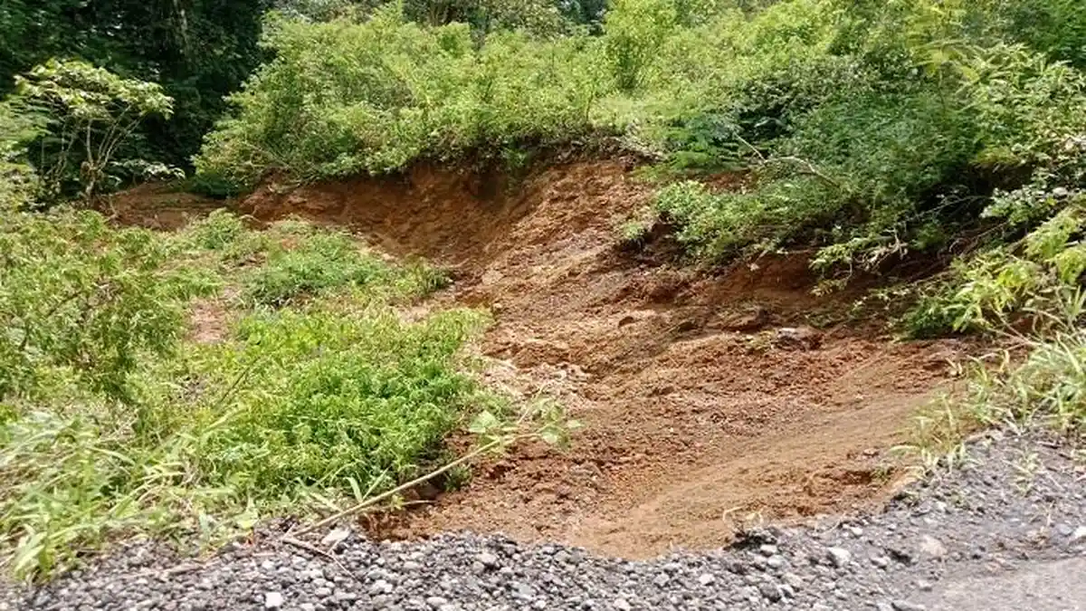 Hujan Lebat Akibatkan Longsor di Bealaing Mukun dan Borong-Nceang, Jalan Terancam Putus