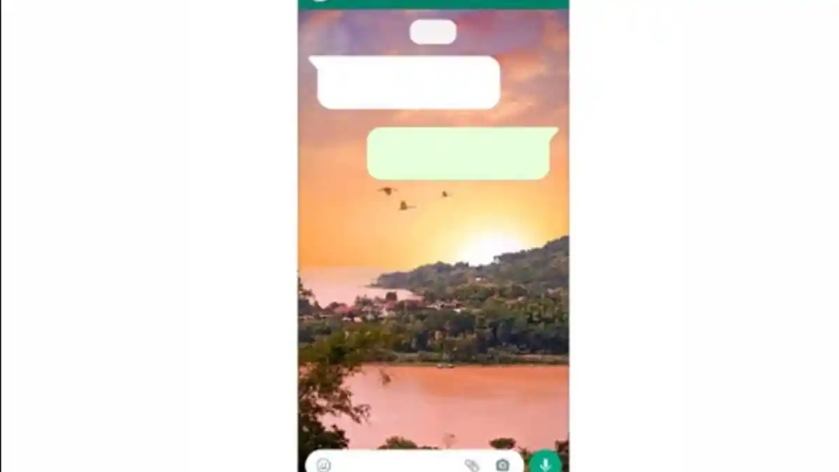 BEGINI Cara Ubah Background WhatsApp tanpa Menggunakan Aplikasi Tambahan