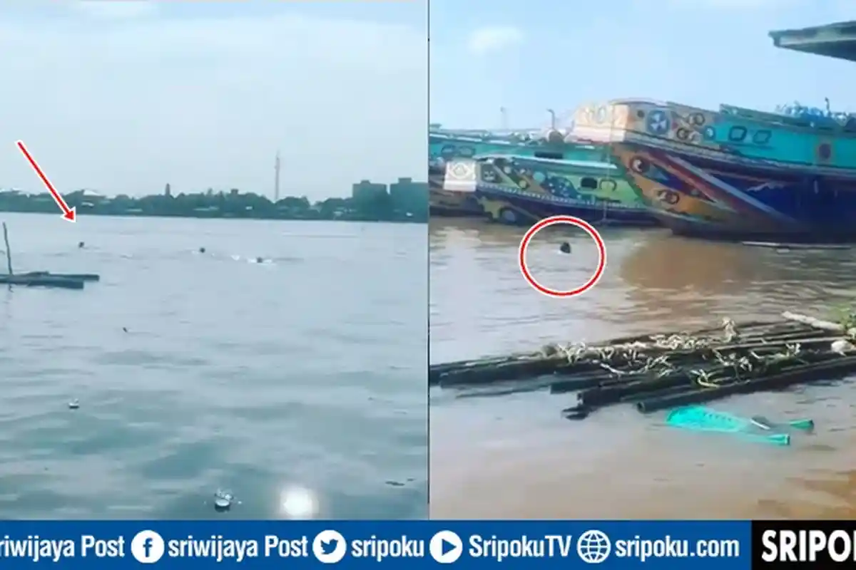 BREAKING NEWS: Ateng Pengedar Narkoba di Palembang Divonis 14 Tahun Penjara, Istri Divonis Bebas