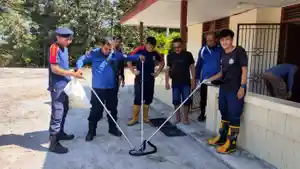 20240323_Tim-Damkar-Bangka-Tangkap-Ular-Kobra.jpg