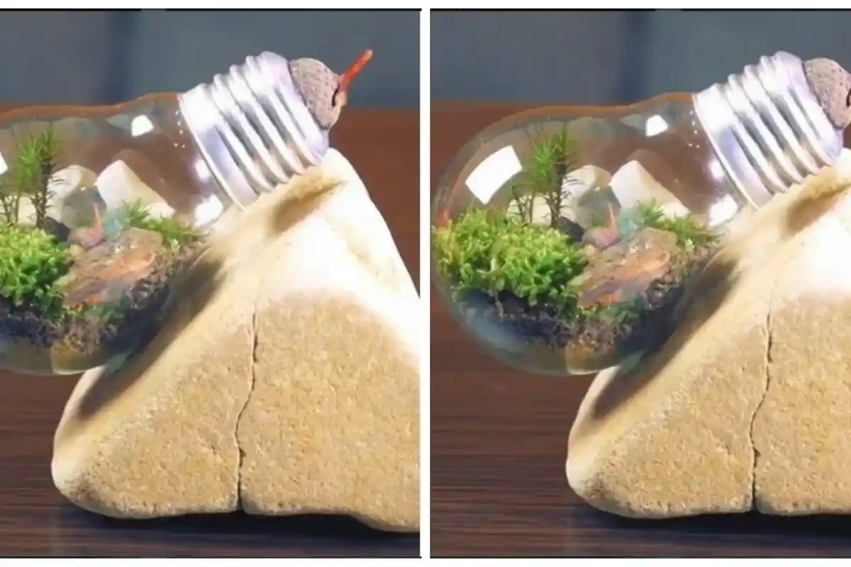 Lucu banget! Inovasi Kreatif nan Unik Bisa Kamu Buat Sendiri