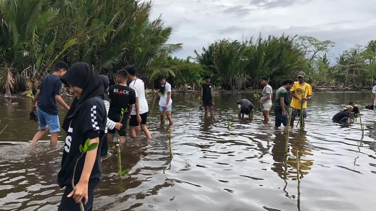 Selamatkan Lingkungan Gamhas Kota Ternate Tanam 650 Pohon Mangrove