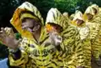 Green Peace Indonesia