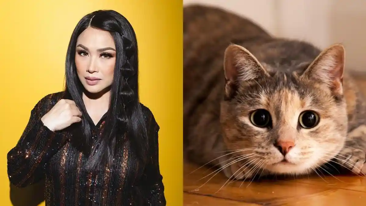 Siapa? Titi DJ Bocorkan Riders Aneh Seorang Artis Indonesia, Selalu Minta Disediakan Kucing