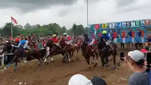 20260326-pacuan-kuda-ambal-kebumen.jpg