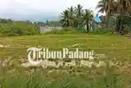 Padang dan Pesisir Selatan Berpotensi Hujan, Cek Prakiraan Cuaca 19 Kab/Kota Sumbar 29 Januari