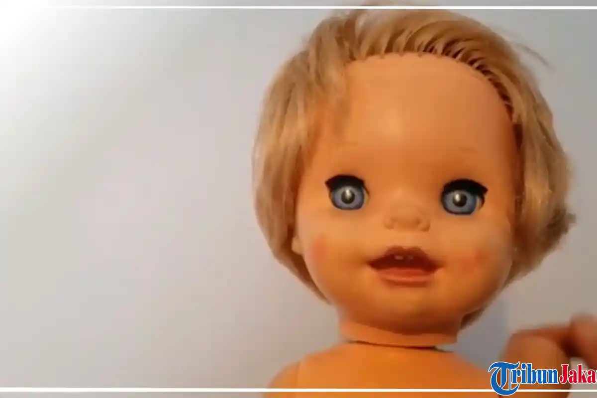 Boneka Aneh dengan Wajah Multi Ekspresi Viral di Internet, Antara Lucu atau Menyeramkan