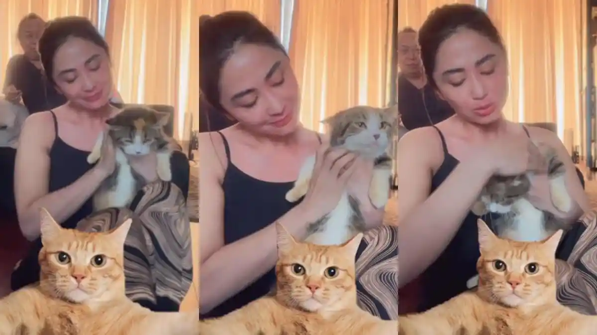 Dijodohkan dengan Virgoun, Dewi Perssik Tanggapi Serius Permintaan Eva Manurung