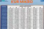 tabel-angsuran-kur-bri-2023-rp-20-30-juta.jpg