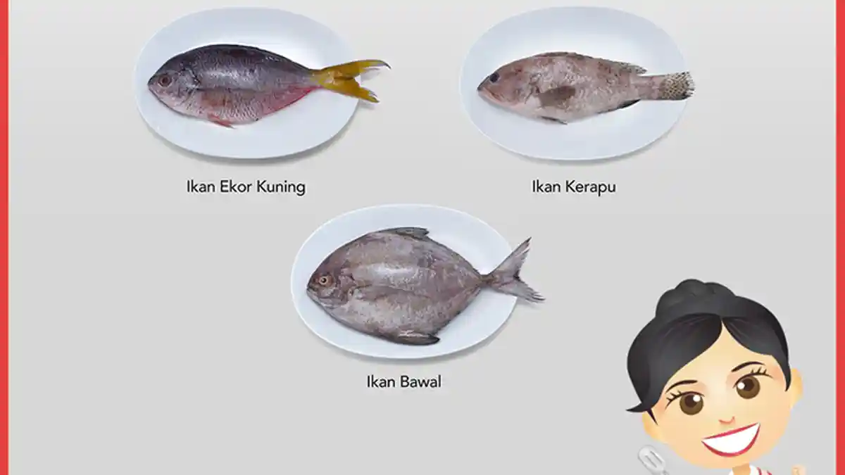 Tips Memilih Ikan untuk Tim, Selain Kakap Masih Ada yang Lainnya untuk Dicoba
