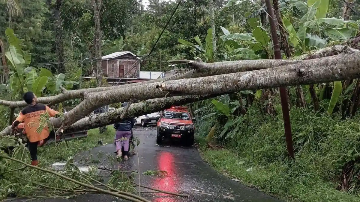 Wonosobo Diterjang Cuaca Ekstrem: Puting Beliung Rusak 15 Rumah di Sapuran,Pohon Tumbang Tutup Jalan