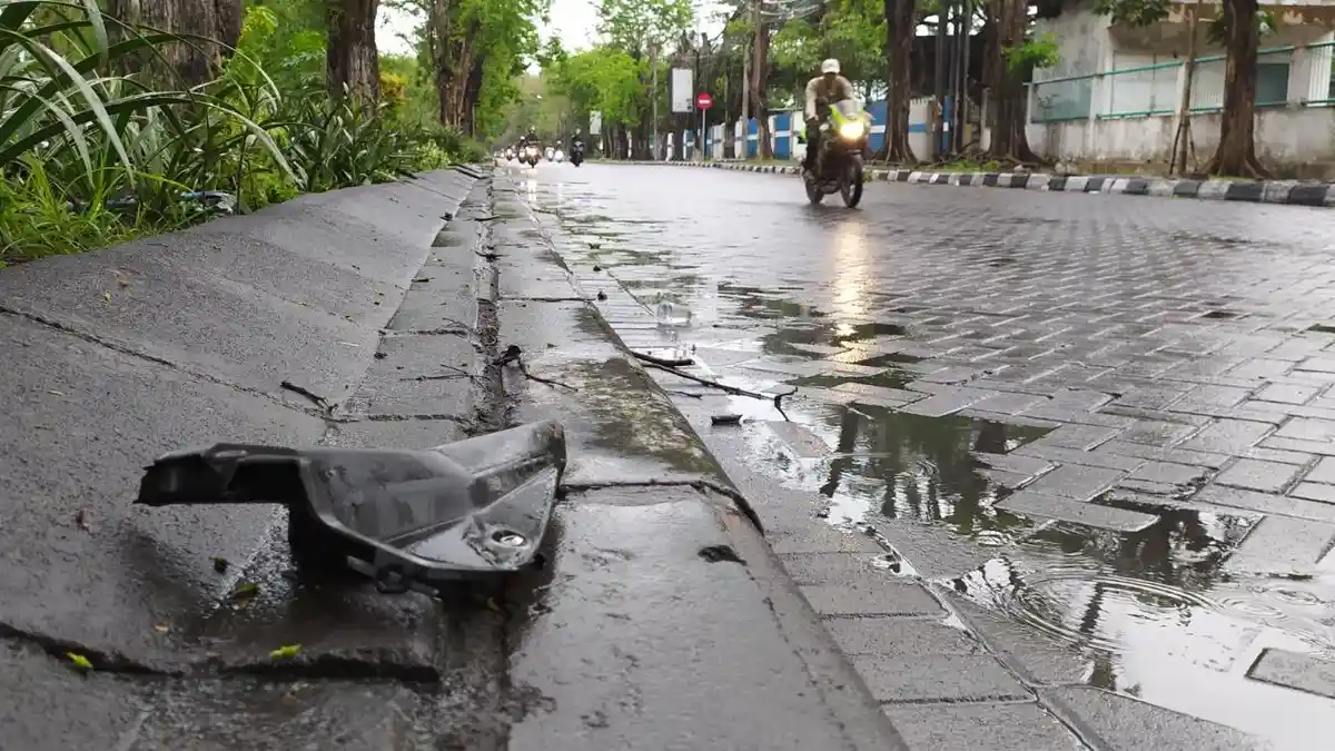 Antar Ibu, Pemotor Tewas seusai Tertimpa Ranting Pohon Patah di Jalan ...