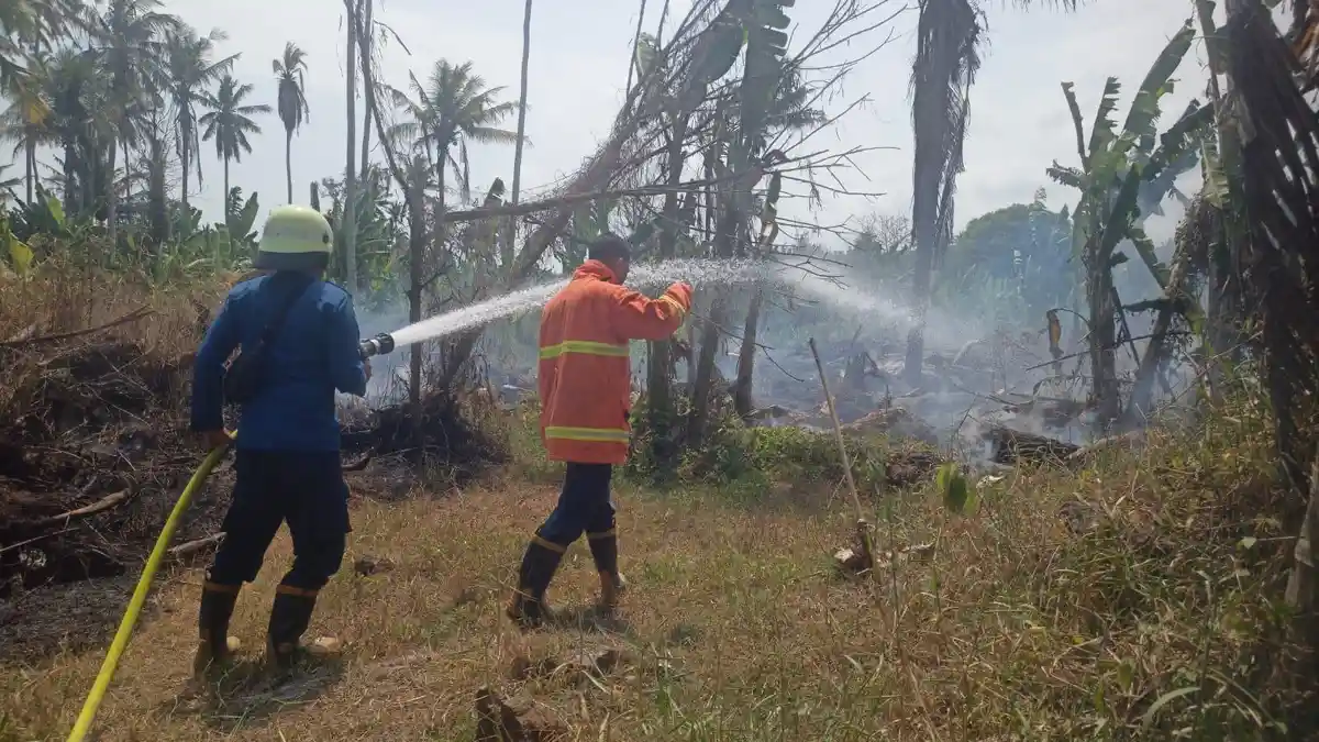 Lahan Kebun Warga Terbakar! Titik Api Diduga Pembakaran Kayu Sisa Banjir Bandang,4 Damkar Dikerahkan