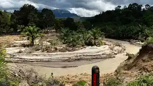 Penampakan-Lahan-Sawit-Rusak.jpg