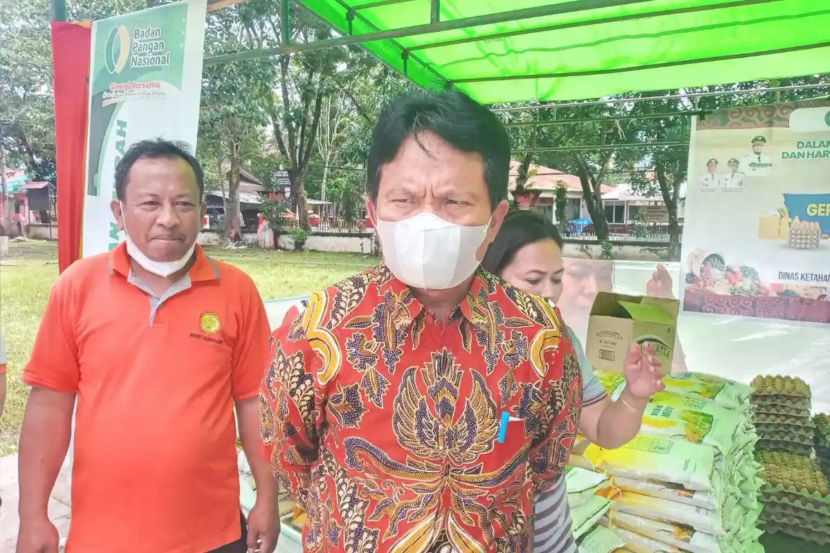 Ratusan Babi Lolos Lagi, Sekda Toraja Utara: Media Bantu Viralkan
