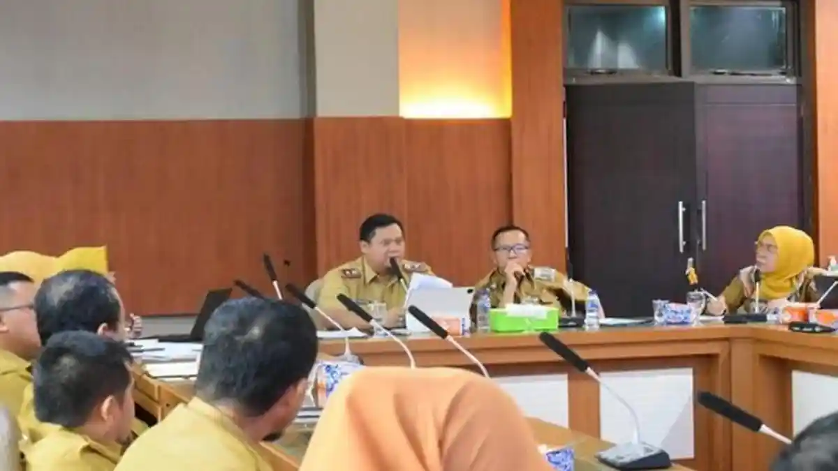 Sekda Banyuasin H Erwin Buka Workshop Isu Strategis Perlindungan dan Pengelolaan Ekosistem Gambut