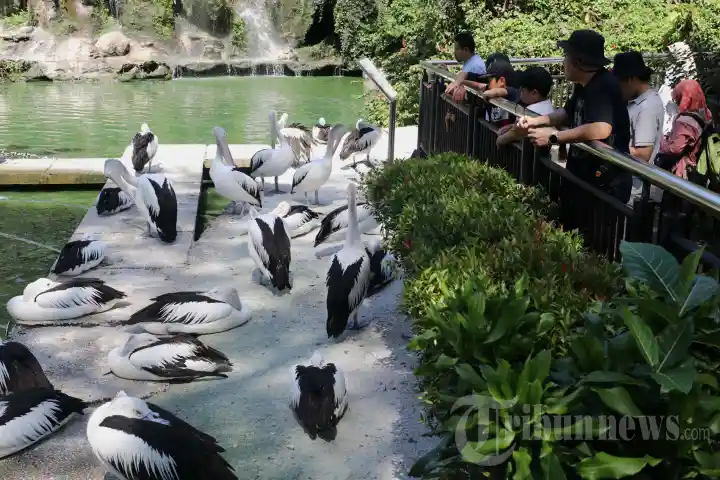 Liburan Idul Adha di Taman Margasatwa Ragunan