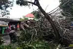 pohon-tumbang-di-teling-atas.jpg