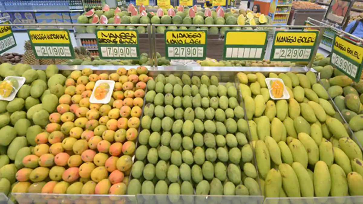 Agar Tidak Salah Pilih, Ini Tips yang Bisa Anda Coba untuk Mendapatkan Mangga Matang yang Manis
