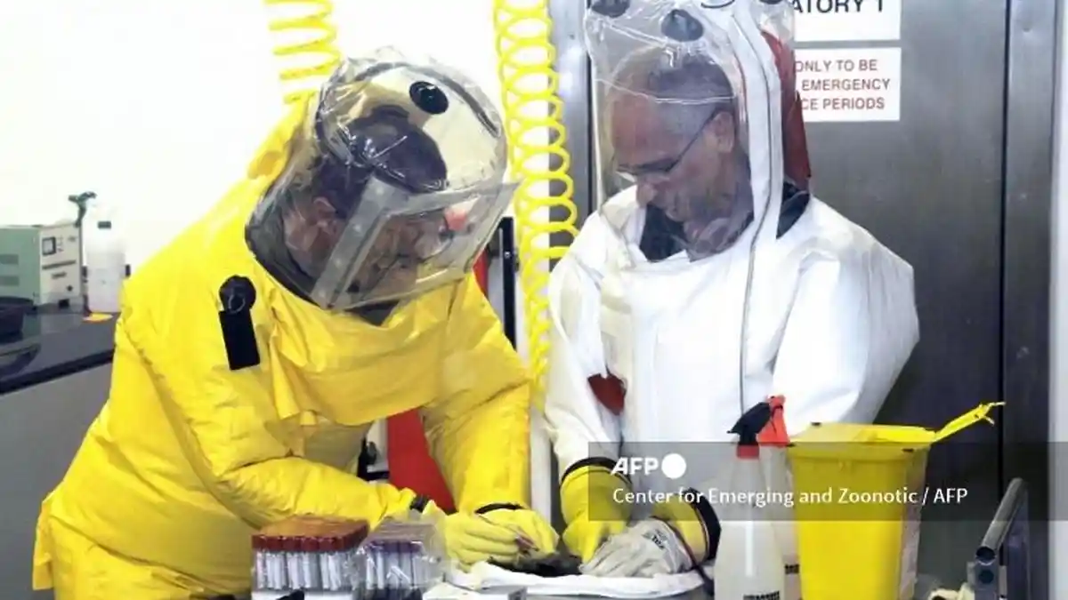 Wabah Ebola Mengintai, Saran Epidemiolog Cegah Potensi Muncul Wabah Baru, Perkuat Sistem Screening