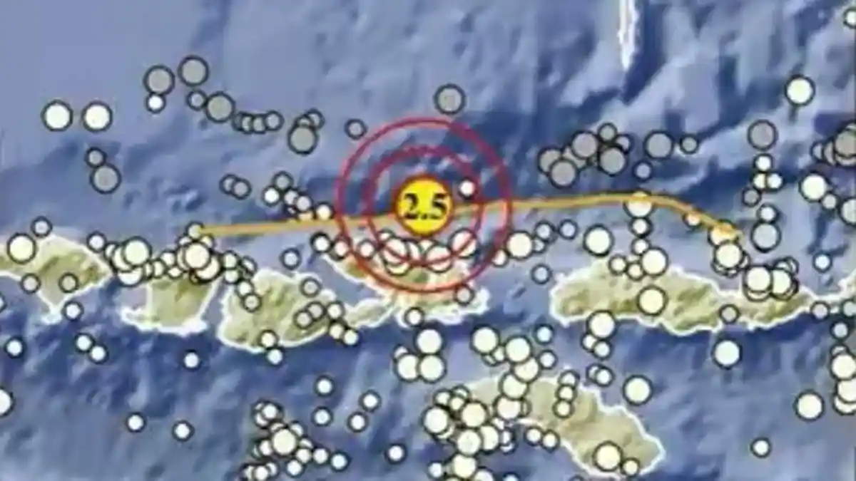Gempa Terkini di Bima NTB Malam Ini Kamis 4 Juni 2026, Berikut Info BMKG