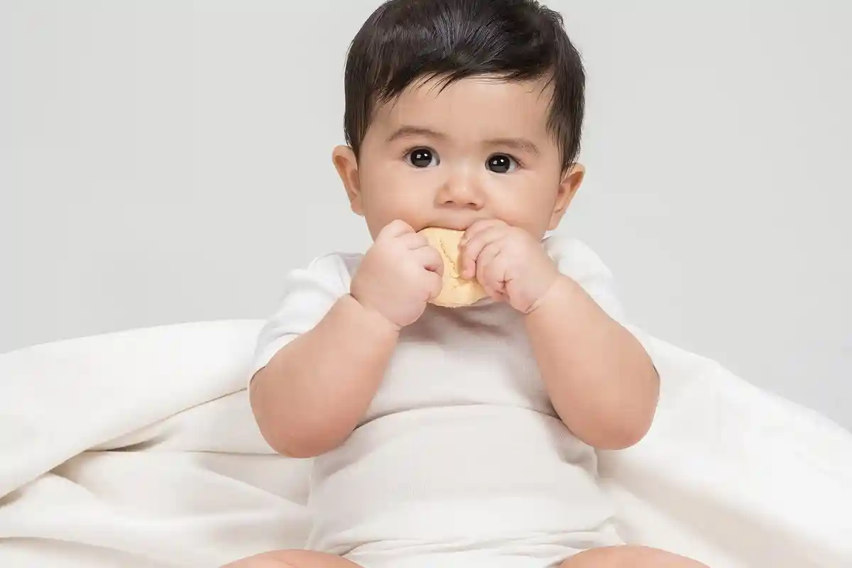 Memilih Camilan saat  Anak  Masuk Periode Emas, Selain Pemenuhan Nutrisi juga Stimulasi Seusai Usia