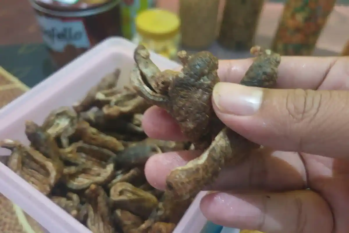 Kerupuk Teripang dan Terung, Jajanan Khas Lebaran dari Kampung Nelayan Gresik