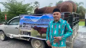 sapi-kurban-235r4sewfrdx.jpg