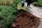 Jembatan Longsor, Warga Wonotunggal Terisolasi, Anak Sekolah hingga Petani Harus Memutar 9 Kilometer