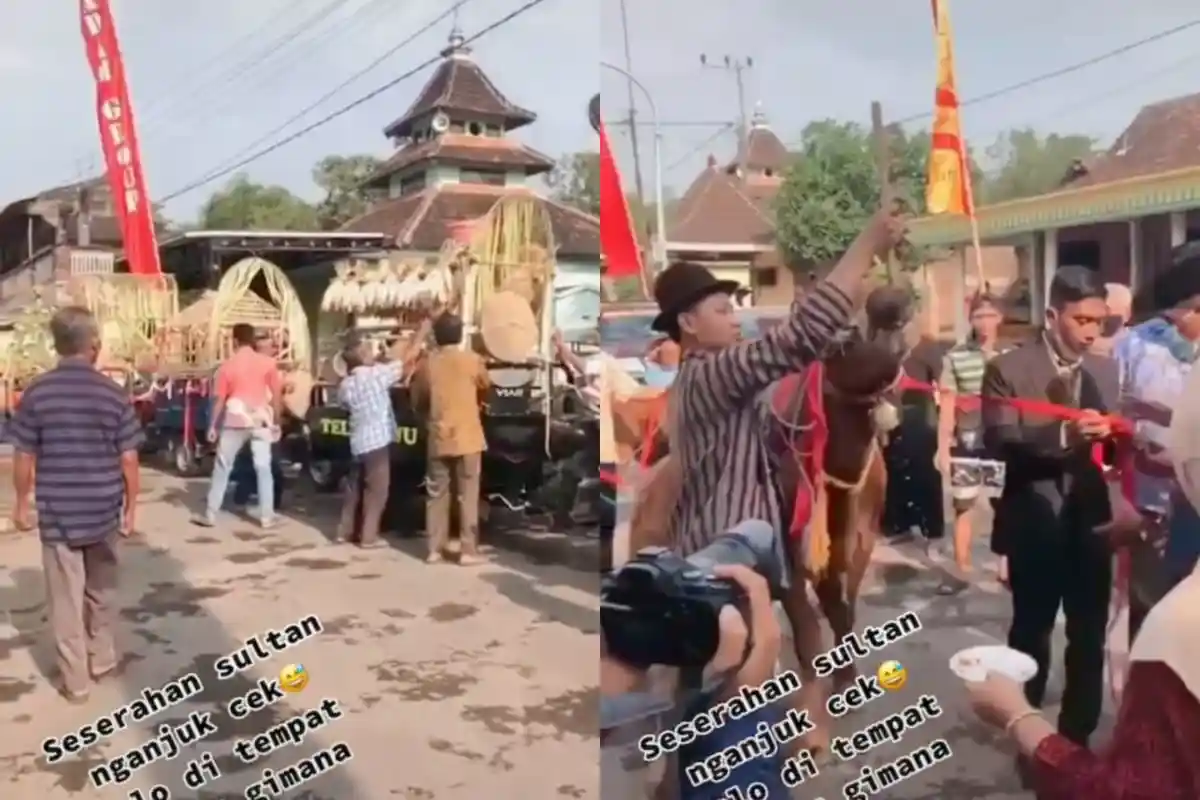 VIRAL, Pria asal Nganjuk Bawa Seserahan 3 Ekor Sapi dan Perabotan Rumah, Pernikahannya Jadi Sorotan