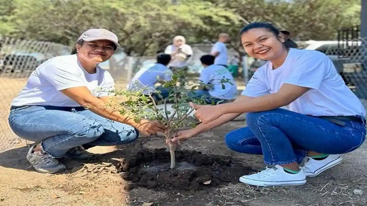 PLN Dukung Gerakan Gotong Royong Boyong Pohon Bersama BUMN