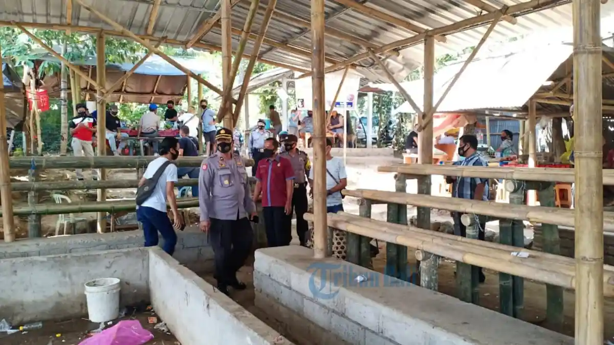 Polisi Bubarkan Arena Sabung Ayam di Karangasem