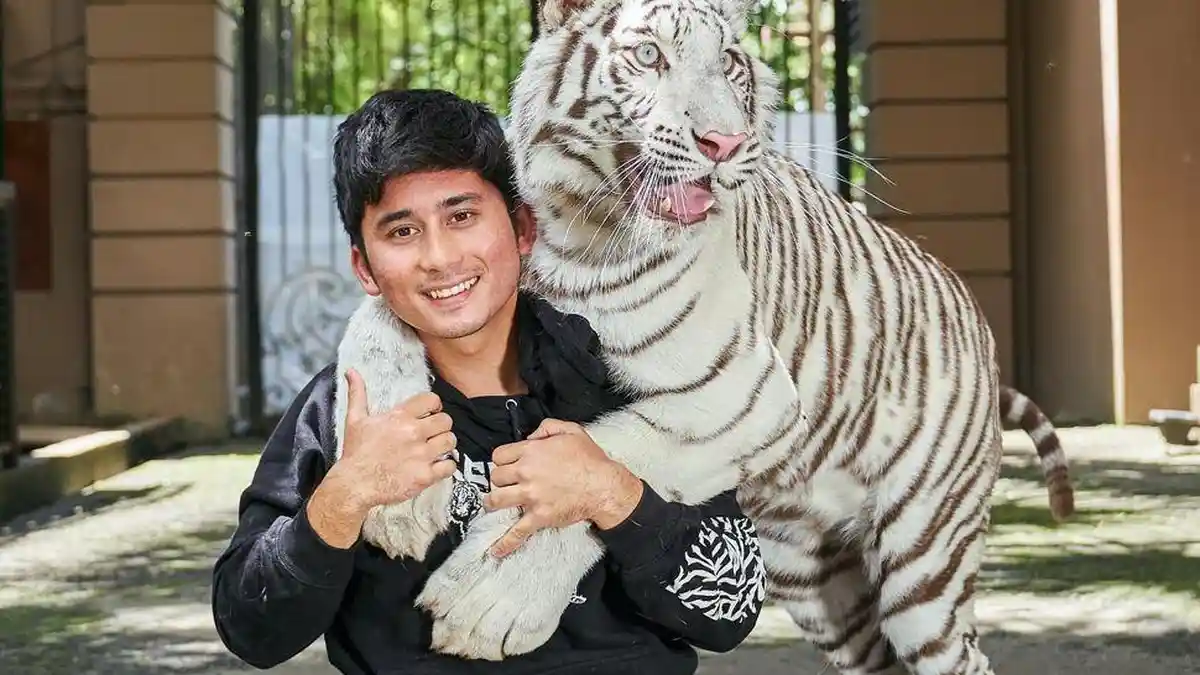 Kesedihan Alshad Ahmad saat Harimau Peliharaannya Mati