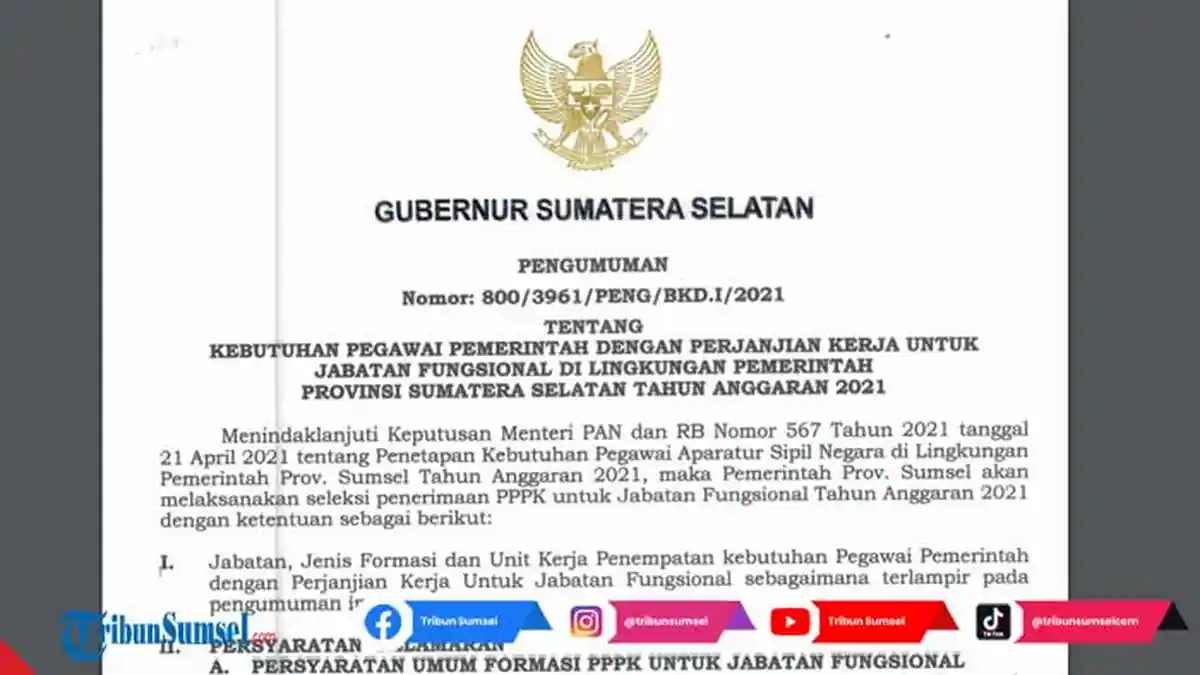 Link PDF Formasi CPNS 2021 Pemprov Sumatera Selatan PPPK Non Guru, Berikut Kualifikasi dan Kuotanya