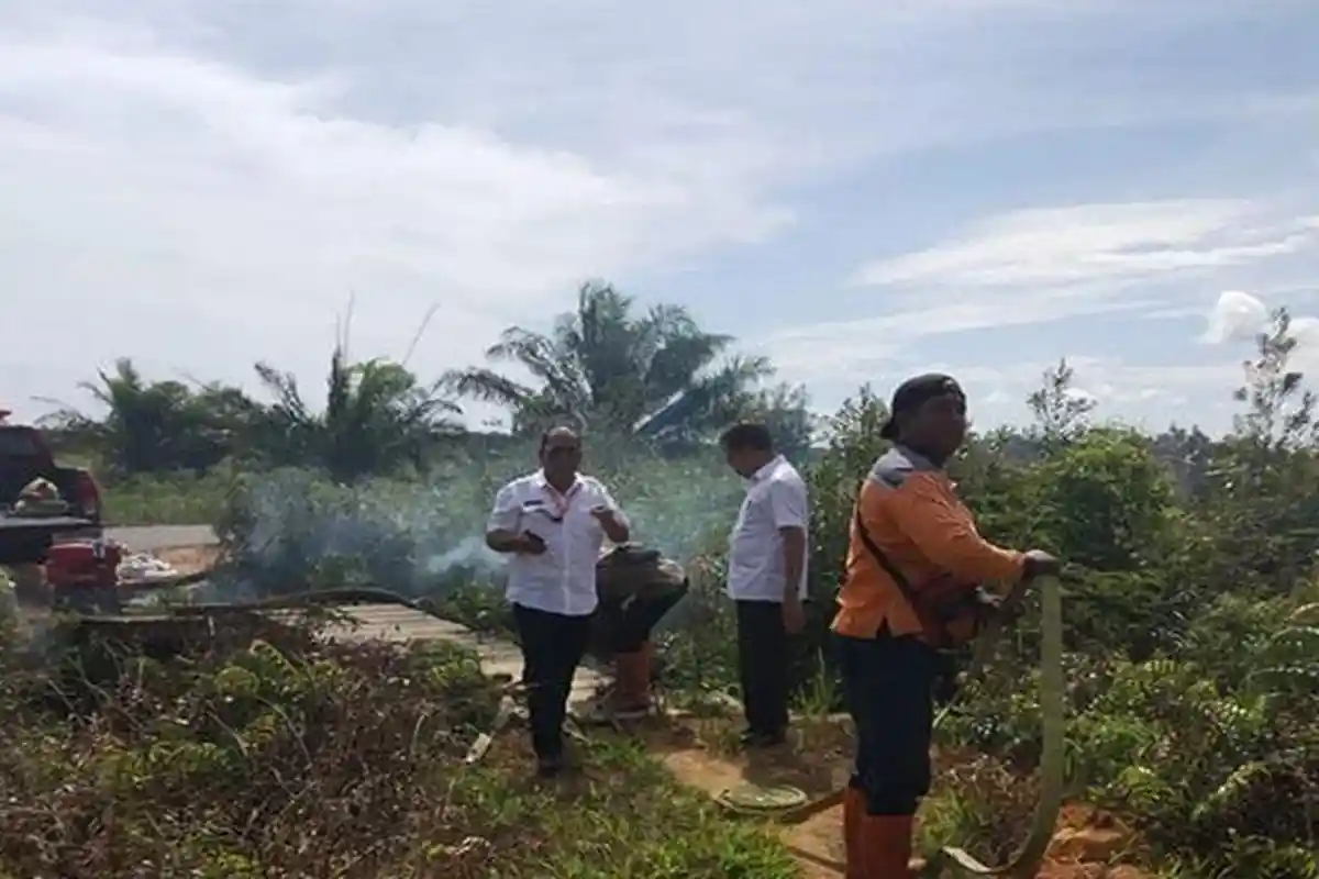 10 Hektare Lahan Gambut Terbakar di Desa Pasir, BPBD Mempawah Gencarkan Pemadaman