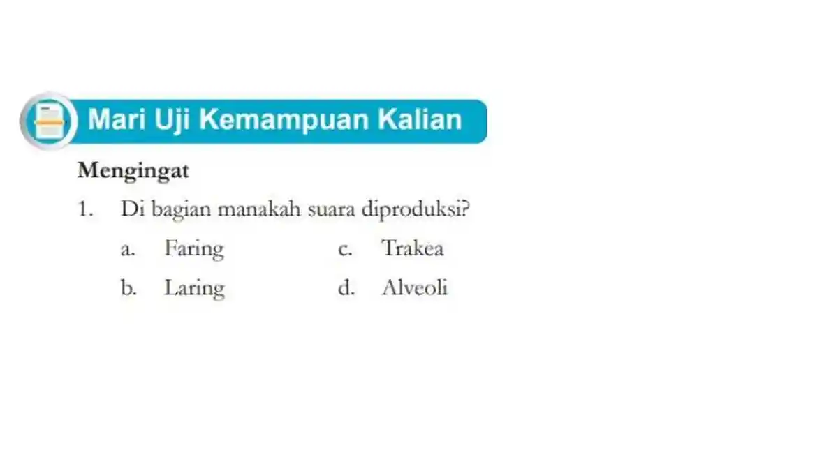 Kunci Jawaban IPA Kelas 8 Kurikulum Merdeka Halaman 75, Di Bagian Manakah Suara Diproduksi?