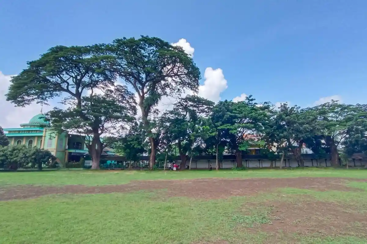 Ini Respons Kadisdikbud Jateng Menyoal Polemik Penebangan Pohon di SMAN 1 Semarang