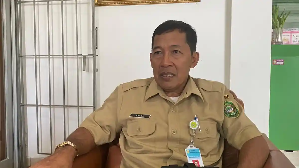 DLH Bantul Rutin Lakukan Antisipasi Pohon Tumbang dengan Mengecek ke Lapangan