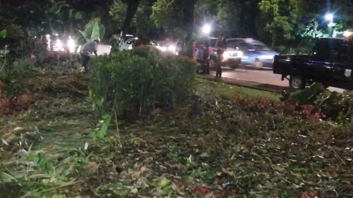 Tanaman Rusak Terinjak-injak Pendemo Anti Ahok, Ini Tanggapan Djarot