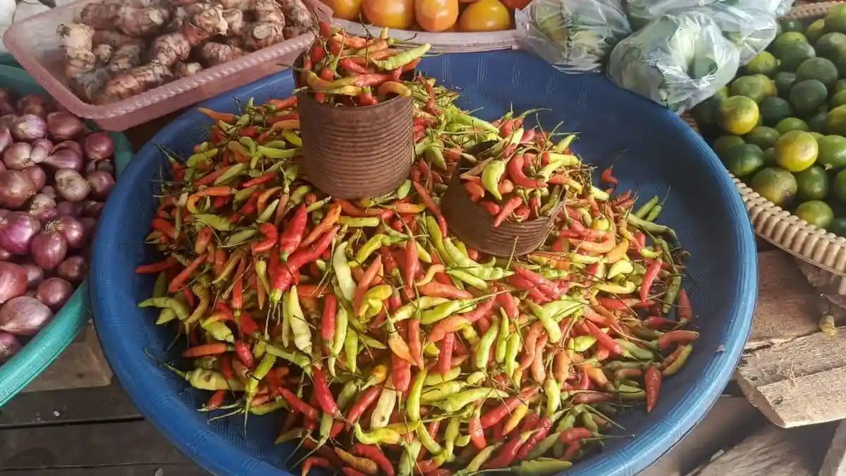 Awal Tahun 2025, Harga Cabai di Ambon Mulai Turun, Rp. 100 Ribu Per Kilogram