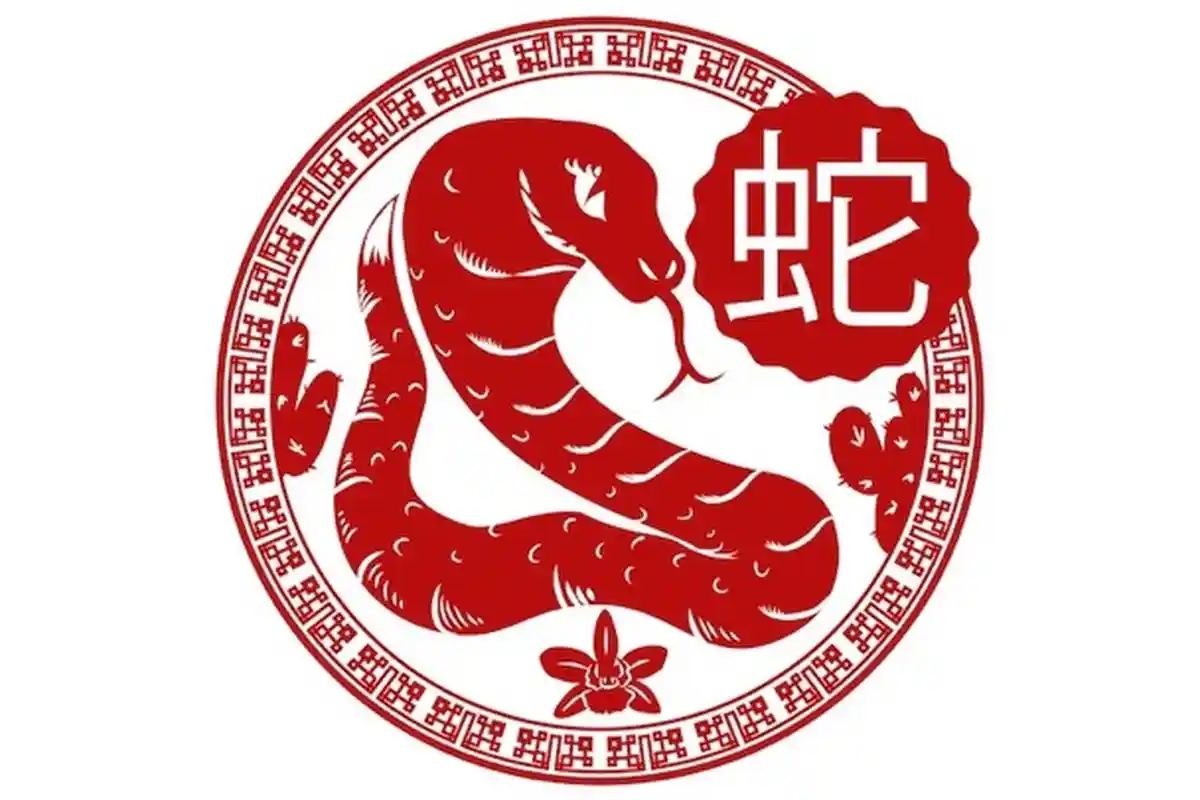 STOP DRAMA! 6 SHIO Ini Bakal Hadapi Hari Buruk Jika Melakukannya, Kamis 30 Desember 2021