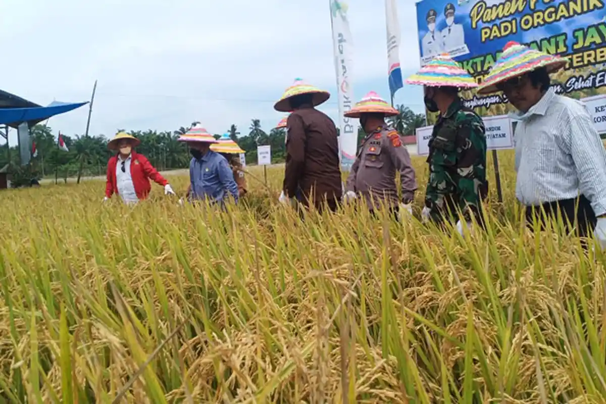 Sistem Pertanian Organik akan Mewujudkan Masyarakat Berprilaku Sehat dan Sadar terhadap Lingkungan