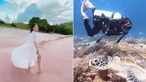 aktris-prilly-latuconsina-saat-berlibur-dan-melakukan-diving-di-lokasi-wisata-labuan-bajo.jpg