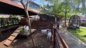 wisata-piataland-kota-malang.jpg