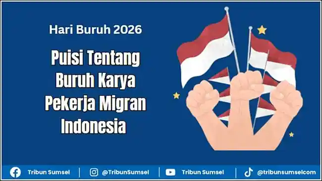 Tribun