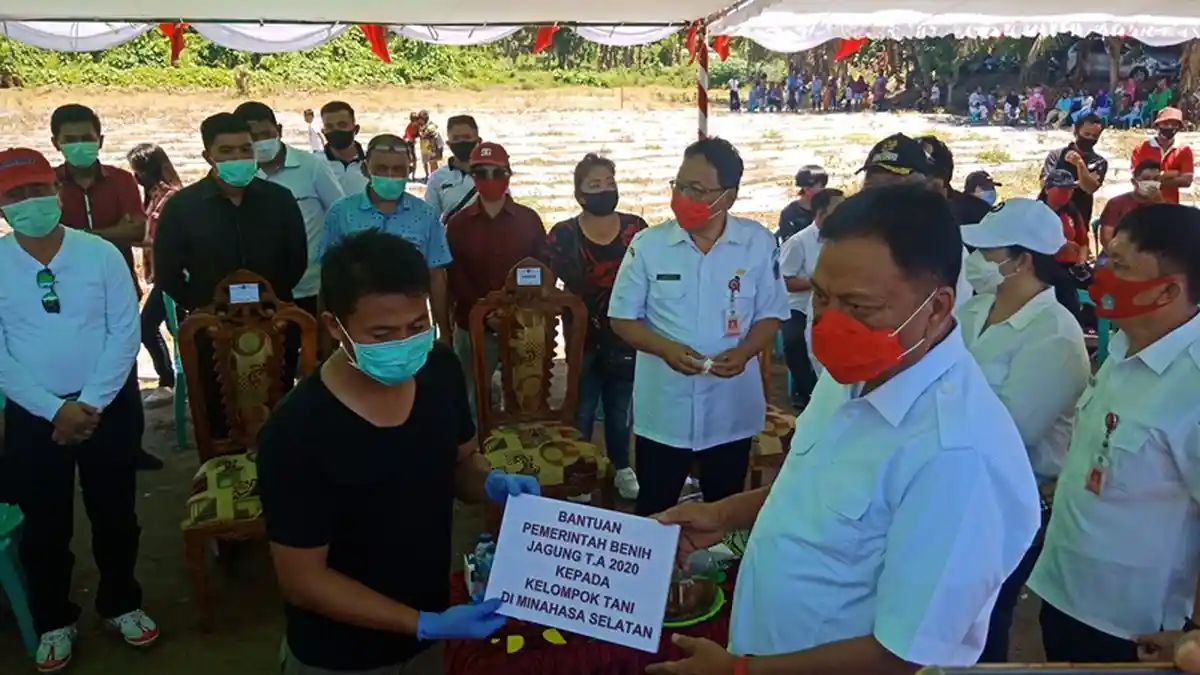 Gubernur Olly Dondokambey Guyur Bantuan ke Petani Minsel, Mulai Benih, Asuransi hingga Traktor