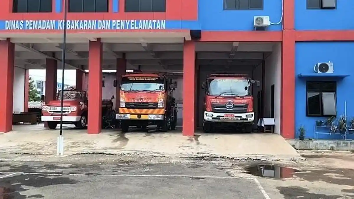 Damkarmat Bandar Lampung Melakukan 336 Evakuasi, Terbanyak Tawon dan Ular